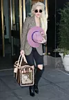 Lady Gaga više ne odvaja od svojih ljubimaca