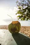 Ljeto - doba za prijeko potrebnu hidrataciju
