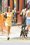 New York, NY - Emily Ratajkowski adds a pop of yellow to the streets of NYC as the model steps out with her pup wearing a mustard yellow mini dress paired with silver Nike Air Max 97's. BACKGRID USA 2 AUGUST 2019, Image: 462073317, License: Rights-managed, Restrictions: , Model Release: no, Credit line: Ulices Ramales / BACKGRID / Backgrid USA / Profimedia