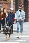 New York, NY - Emily Ratajkowski seen taking a stroll with her dog BACKGRID USA 17 OCTOBER 2019, Image: 477446947, License: Rights-managed, Restrictions: , Model Release: no, Credit line: Ulices Ramales / BACKGRID / Backgrid USA / Profimedia