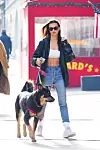 New York, NY - Model Emily Ratajkowski stepped out looking sexy displaying her abs during a Friday stroll with her dog Colombo. *UK Clients - Pictures Containing Children Please Pixelate Face Prior To Publication*, Image: 494608294, License: Rights-managed, Restrictions: , Model Release: no, Credit line: JosiahW / BACKGRID / Backgrid USA / Profimedia