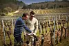 Brad Pitt u svom vinogradu