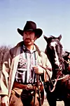 Chuck Norris je u seriji 'Walker, teksaški rendžer' glumio od 1993. do 2001. godine