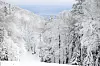 Snijegom prekriveno Sljeme nudi predivne uvjete za skijanje, sanjkanje i šetnje prirodom.