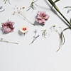 Fotografija: Anna Sullivan/Unsplash