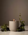 Menta