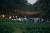 Vjenčanje Franke Batelić i Vedrana Ćorluke u malom istarskom gradiću Bale.