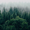 Fotografija: Unsplash