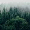 Fotografija: Unsplash