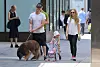 New York, NY - Amanda Seyfried and husband Thomas Sadoski go for a stroll with their daughter Nina and dog in Downtown Manhattan. BACKGRID USA 8 AUGUST 2019,Image: 463375614, License: Rights-managed, Restrictions: , Model Release: no, Credit line: BrosNYC / BACKGRID / Backgrid USA / Profimedia