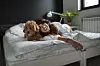 Young woman and her dog of apricot puddles meet in the morning in bed
