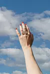 ana tevšić nauković