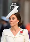 Tek iz velike blizine postaje jasno da je za savršenu punđu Kate Middleton zaslužna smeđa mrežica za kosu