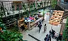Wespa Spaces na Zavrtnici