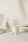 WOOD Cosmetics