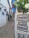 Cvijeće i uređeni vrtovi posebnost su Andaluzije, a Córdoba je poznata po manifestaciji u kojoj stanovnici posjetiteljima otvaraju vrata svojih dvorišta i natječu se za nagradu najljepšeg