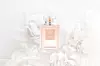 Coco Mademoiselle Chanel; 100 ml; 1.679 kn