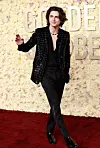 Timothee Chalamet sam je prošetao crvenim tepihom