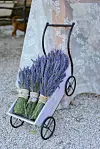 Lavanda je odličan antiseptik.