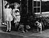 circa 1925: Child actors Arthur Trimble and Doreen Turner holding a statue of a Bull Terrier on a leash whilst a real Bull Terrier looks on inquisitively during a scene from a Buster Brown comedy film. (Photo by Hulton Archive/Getty Images)