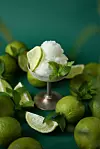 Mojito Sorbet