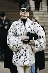schiaparelli
