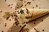 Salted Cookie Dough