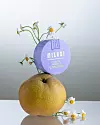 MILANI Conceal + Perfect primer za lice