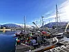 Luka u Tromsø