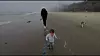 Meghan i Archie na plaži u Kaliforniji.