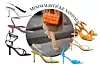 Street style: Imaxtree/ četvrtaste sandale Z_Code_Z (28 funti)/ sandale u stilu japanki By Far (2750 kn)/ sandale na visoku petu Nine West (89 dolara)/ sandale s tankom vezicom Zara (299,90 kn)/ sandale od kože Aldo (600 kn)/ sandale s remenčićima Zara (299,90 kn)/ sandale s efektom krokodilske kože Mango (249,90 kn)