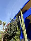 Detalj iz vrta Majorelle pod čijim je imenom zaštićena posebna nijansa plave
