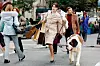 20THCENTFOX COLLECTION/EVERETT/PROFIMEDIA