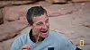 PROFIMEDIA