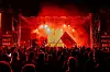 Festival Forestland