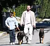 Ben Affleck sa sinom Samuelom počekom prošlog mjeseca, opušteno druženje uz ljubimce