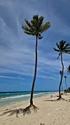 Havana, Kuba