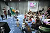 Na predstavljanju slikovnice Ivica i Marica uživali su i djeca i roditelji