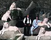 Siegfried&Roy bili su sinonim za Las Vegas, gdje su dugi niz godina izvodili svoje točke sa egzotičnim životinjama.