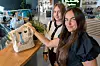 26405527