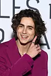Timothee Chalamet voli nakit i često ga nosi