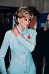 Princeza 1995. godine, par dana uoči intervjua koji je promijenio sve, možda čak i tijek i kraj njezinog života.