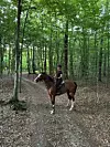 Poslijepodne najčešće provodi na jahanju