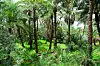 SHUTTERSTOCK Green Oasis