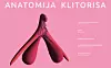 Potpuna anatomija klitorisa