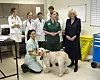 Camilla je pokroviteljica azila Battersea i veterinarskih klinika