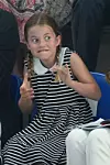 25668381