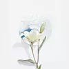 Fotografije: Unsplash