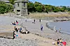 3 EYED RAVEN PRODUCTIONS/Alamy/Alamy/Profimedia Mnogi se druže u prirodi; puna plaža u Walesu u svibnju