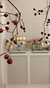 Adventski kalendar